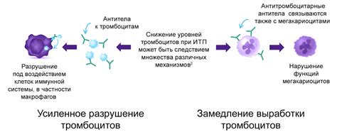 Иммунная несостоятельность