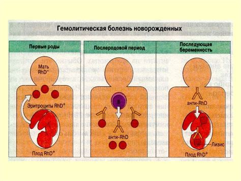 Иммунологические аспекты