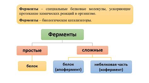 Ингредиенты и их роль в кулинарии