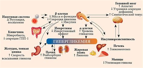 Индивидуализация лечения: выбор оптимальной комбинации