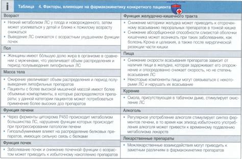 Индивидуальные особенности организма: как учесть различия для достижения положительного результата