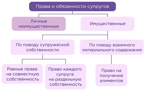 Индивидуальные права супругов в рамках семейно-имущественного положения