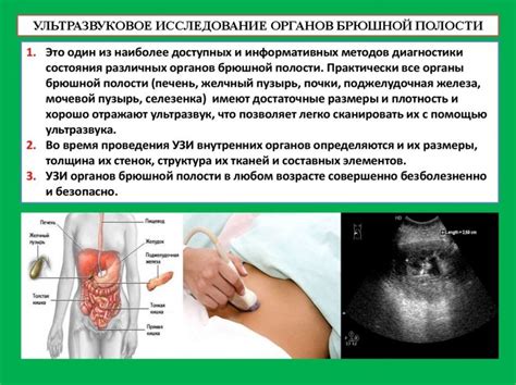 Индикации и противопоказания к УЗИ брюшной полости