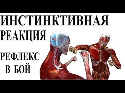 Инстинктивная реакция