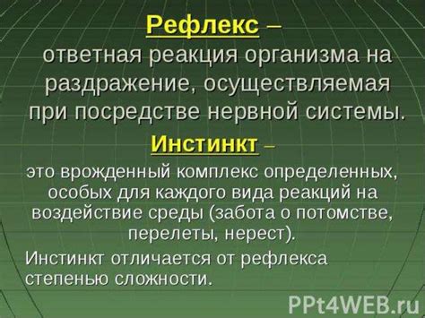 Инстинкт или рефлекс?