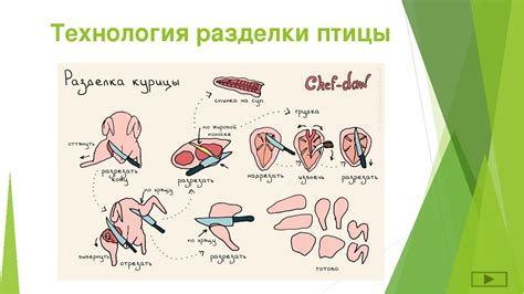 Инструменты, необходимые для разделки крылышек