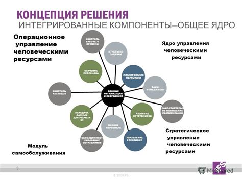 Интегрированные данные: концепция и применение