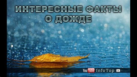 Интересные факты о дожде