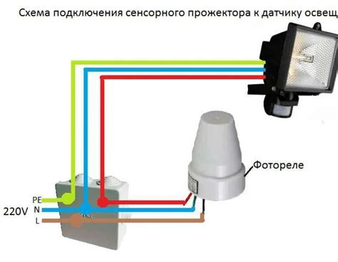 Интересные факты о таймере день ночь для освещения