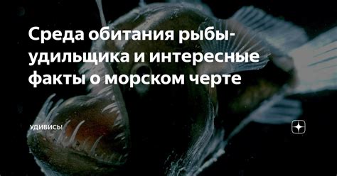 Интересные факты о черте под нотой