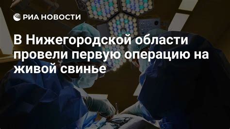 Интерпретации сновидений о живой свинье в крови у разных людей