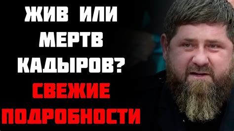 Интерпретации событий: что на самом деле случилось с Анжеликой?