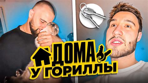 Интерпретация смайла гориллы