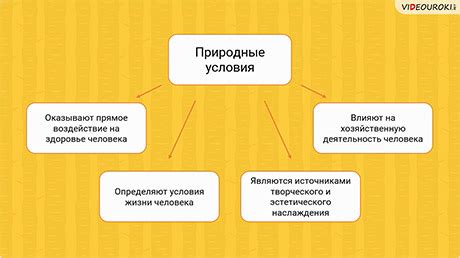 Интерпретация снов: понимание и воздействие на жизнь человека