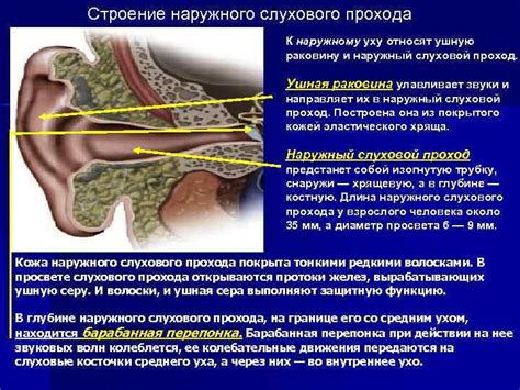 Интерпретация сновидений со сценой очищения слухового прохода от воска