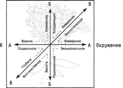 Интерпретация сновидения об опадающем листе