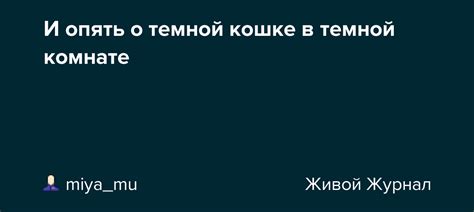 Интерпретация сновидения о темной кошке