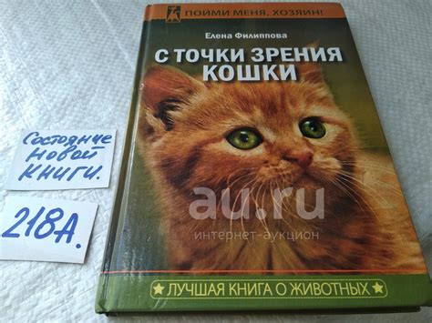 Интерпретация снов о больших кошках с точки зрения психологии