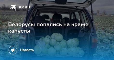 Интерпретация снов о краже капусты в поле