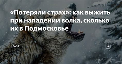 Интерпретация снов о нападении волка