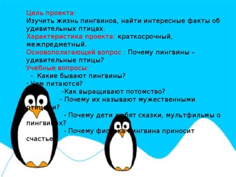 Интерпретация снов о пингвинах: какие сообщения несет подсознание?