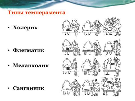 Интровертные флегматики: особенности и характеристики