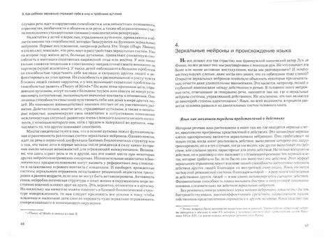 Интуитивная коммуникация: роль собаки в пересечении границ между мирами