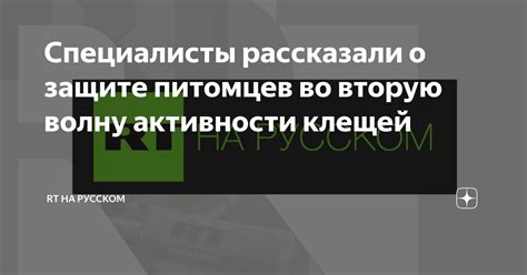 Интуитивные послания во снах о защите питомцев: как распознать их значение