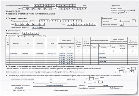 Информация о взносах в страховом полисе