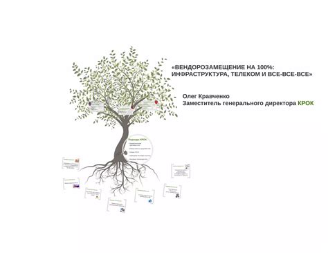 Инфраструктура 100% района