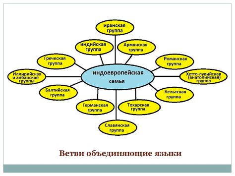 Ирландский язык и его место в индоевропейской языковой семье