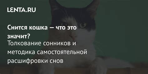 Искусство расшифровки снов: эффективные методы и полезные советы