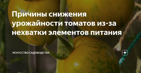 Искусство сновидений: мудрость рассады томатов в пророчестве