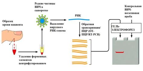 Использование ПЦР для анализа мазка