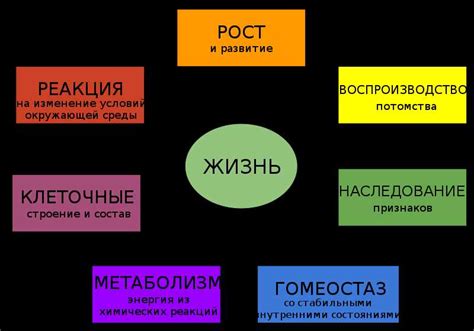 Использование и контекст применения слова "клирс"