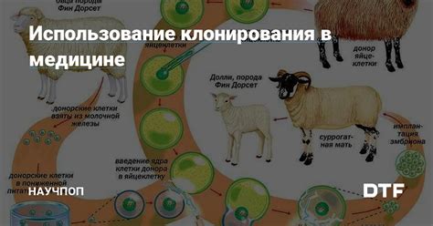 Использование клонирования