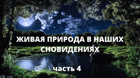 Использование магических символов в сновидениях: сонник для тех, кто стремится к инициативности