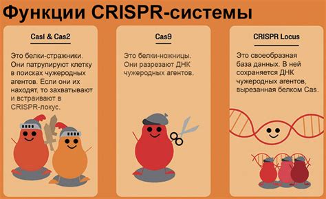 Использование на практике