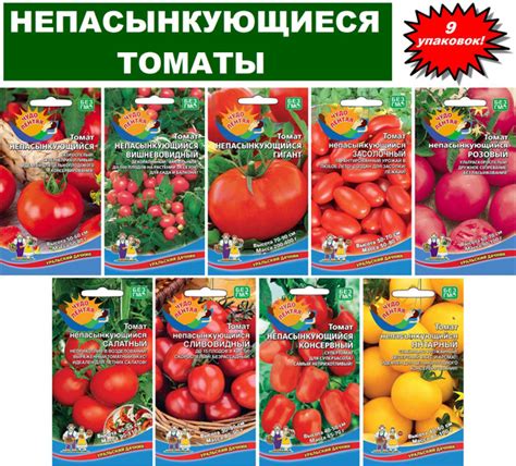 Использование непасынкующихся томатов в кулинарии