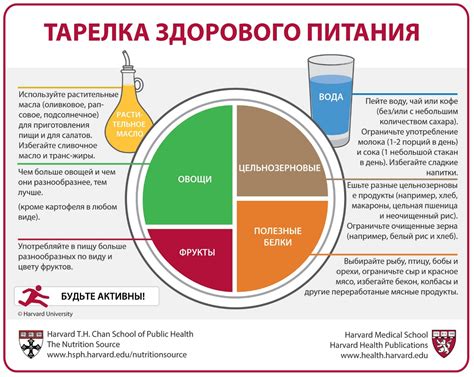 Использование правильного соотношения продуктов