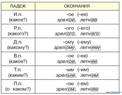 Использование прилагательных в русском языке