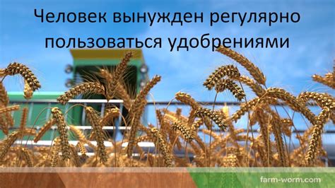 Использование сернистого газа в производстве удобрений