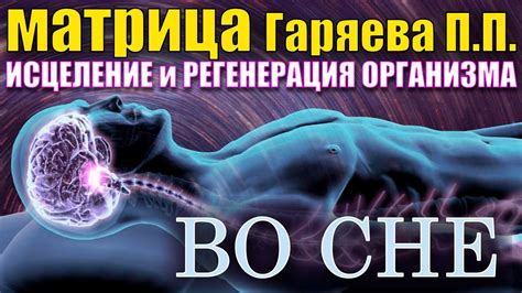 Исследование: воздействие высоты на состояние организма во время сна