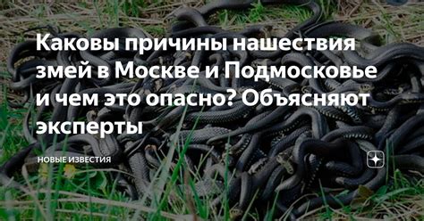 Исследование: каковы причины нашествия мертвецов в виртуальный мир избранных?