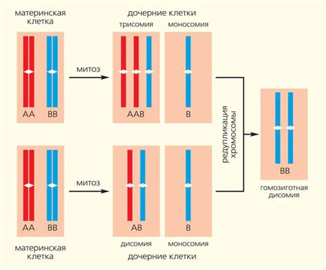 Исследование гетерозиготы в генетике