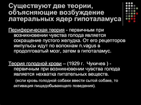 Исследования и теории, объясняющие возбуждение