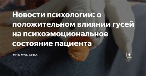 Исследования о влиянии позитивной психологии на эмоциональное состояние