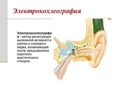 Исследования цветного слуха