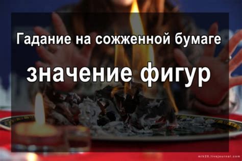 Истинный смысл сна о фундуке: значение гадания на сонник