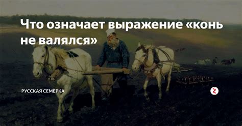 Исторический подтекст фразы "там конь не валялся"